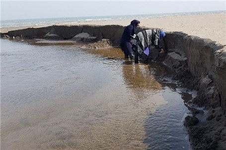 شناسایی کانی‌های پلاسری محدوده کیاشهر-چمخاله سواحل دریای کاسپین