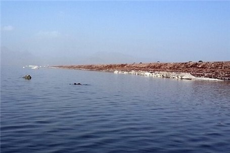استقبال "آرتمیا ارومیانا" از بالارفتن سطح آب دریاچه ارومیه