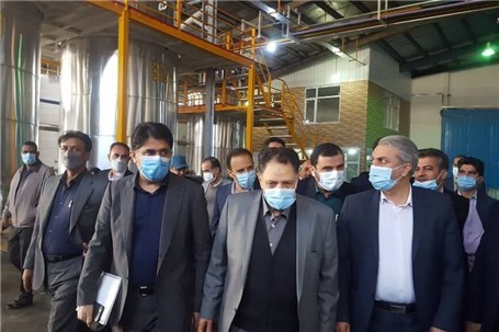 بازدید وزیر صمت از ۶ شرکت تولیدی و صنعتی خوزستان