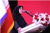 خلوصی: هدف ایمیدرو در مدل های جدید سرمایه گذاری، جهش در اکتشاف است